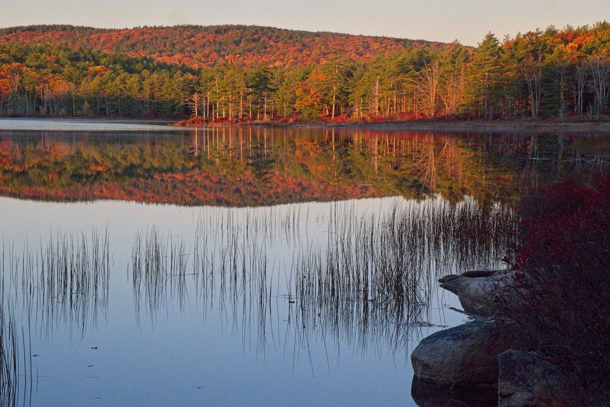 Morning Witch Hole POnd 3.jpg