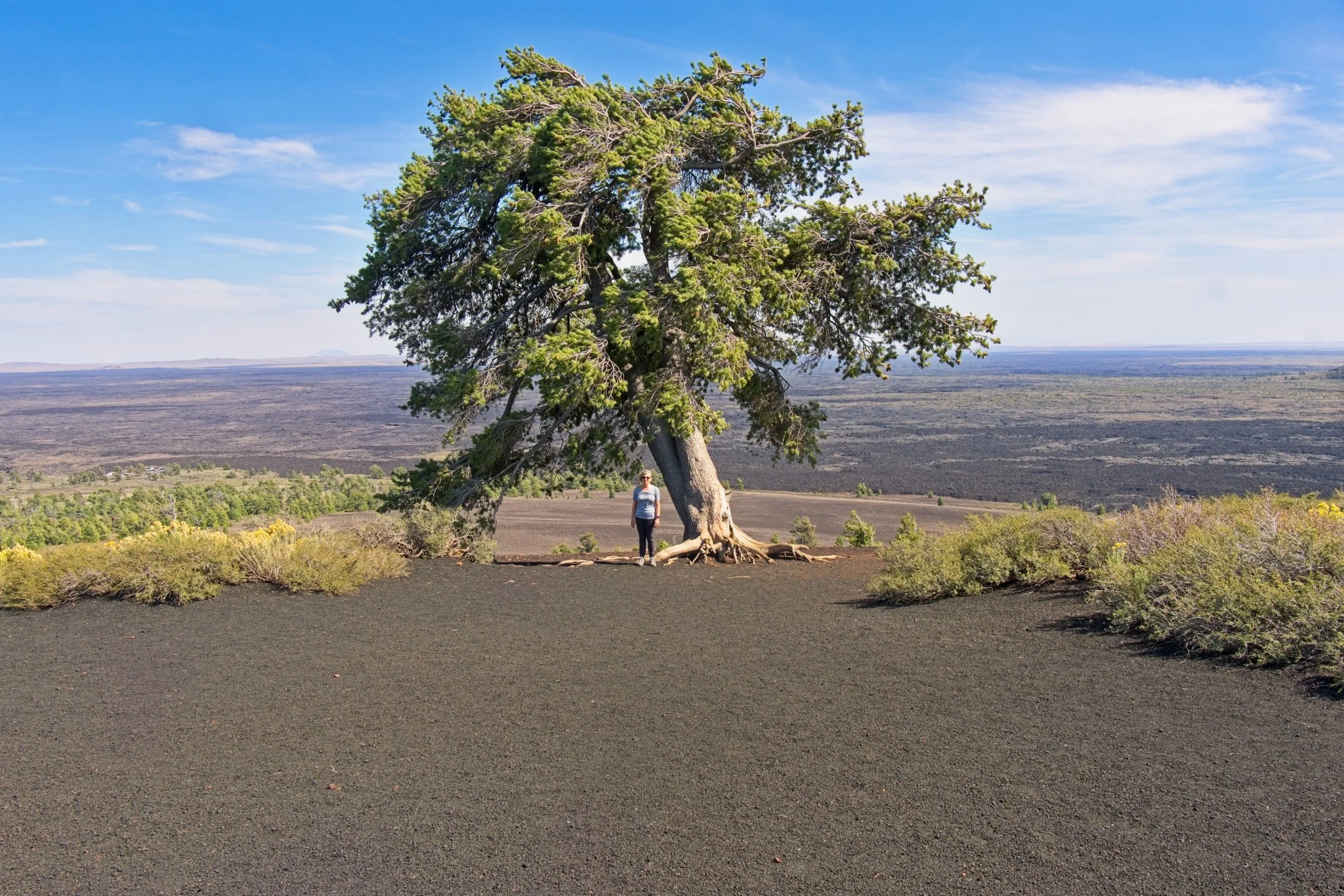Craters of the Moon 4.jpg