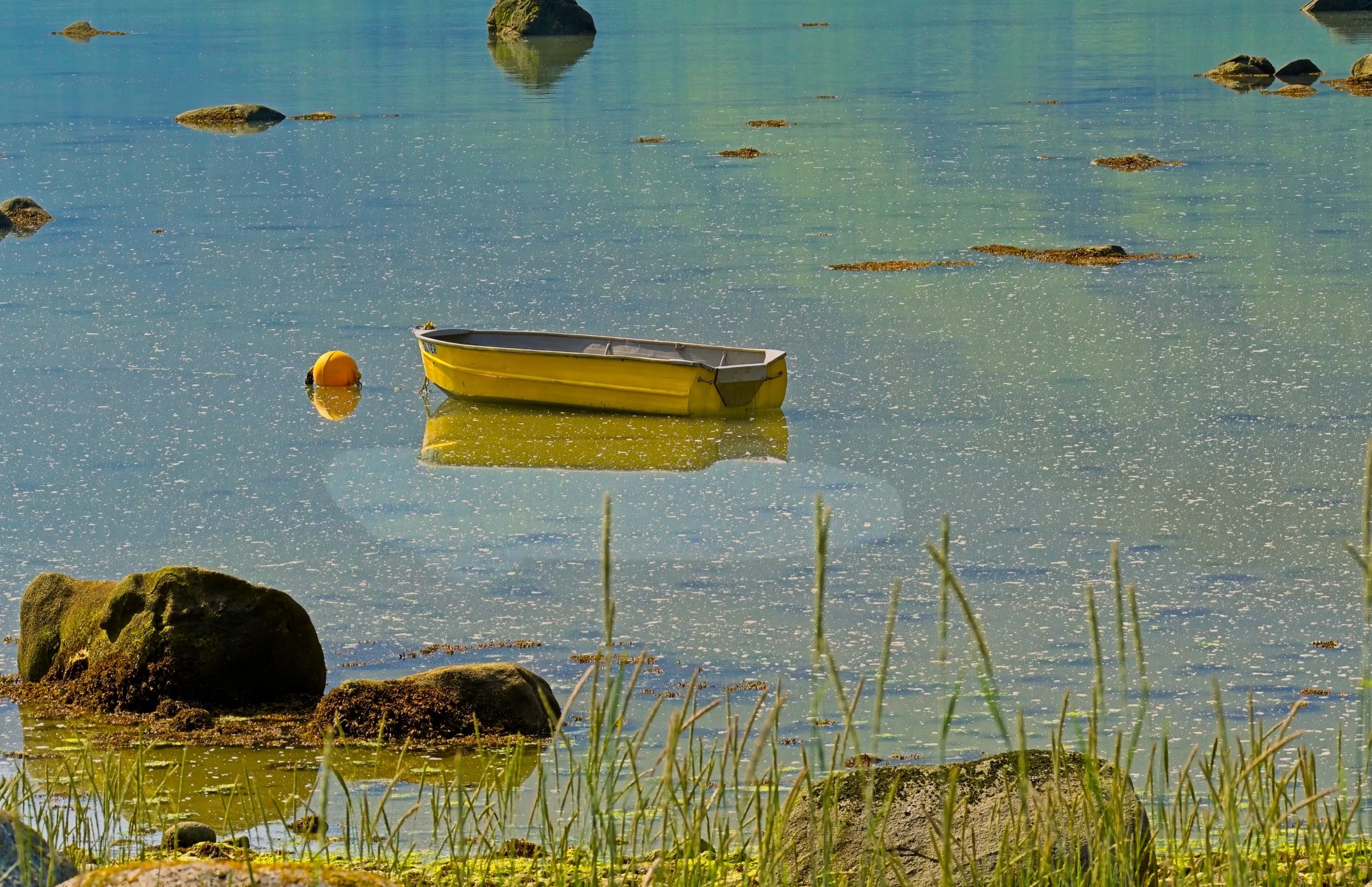 Yellow Boat  2.jpg