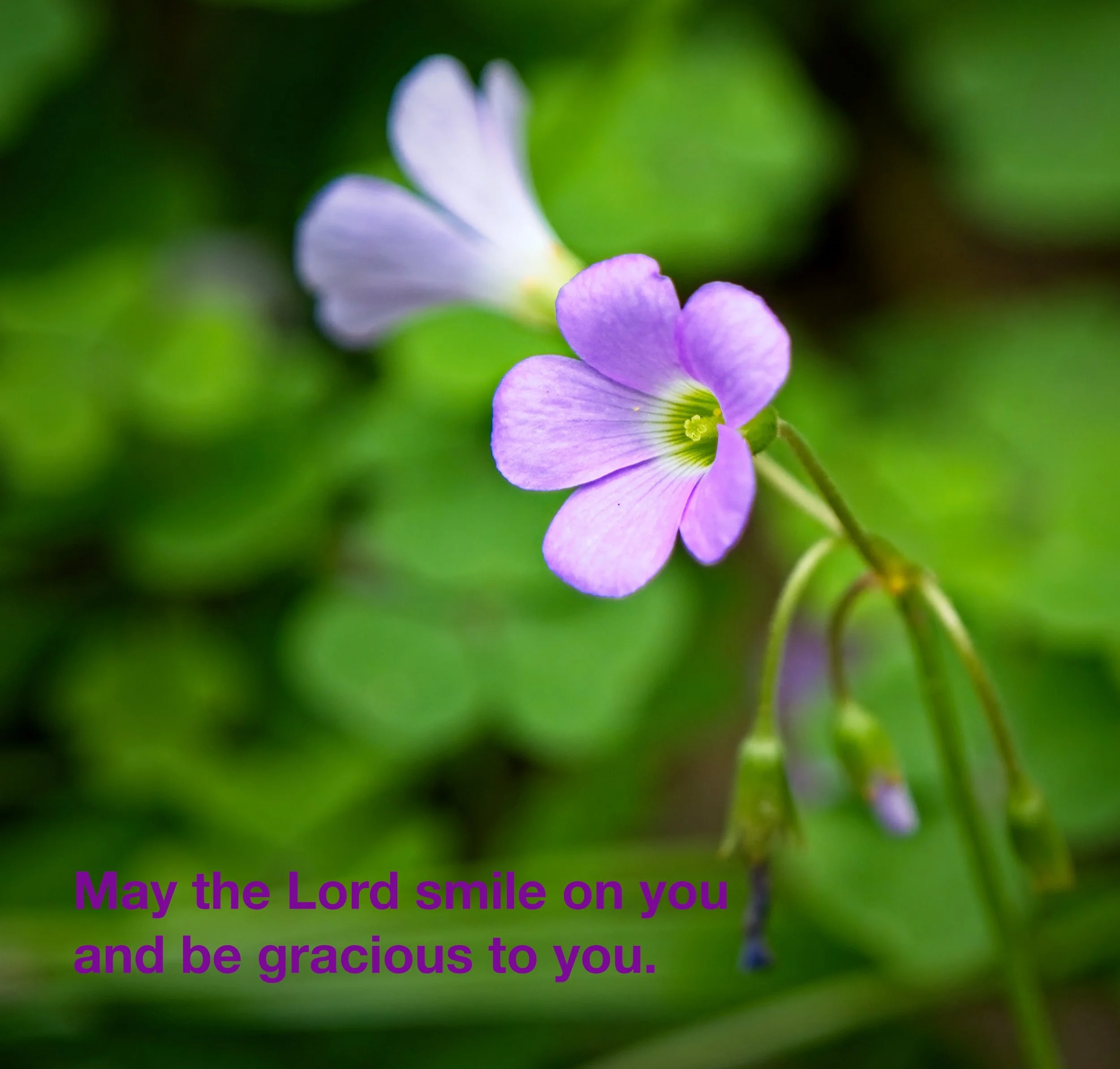 National Park Galleries by State