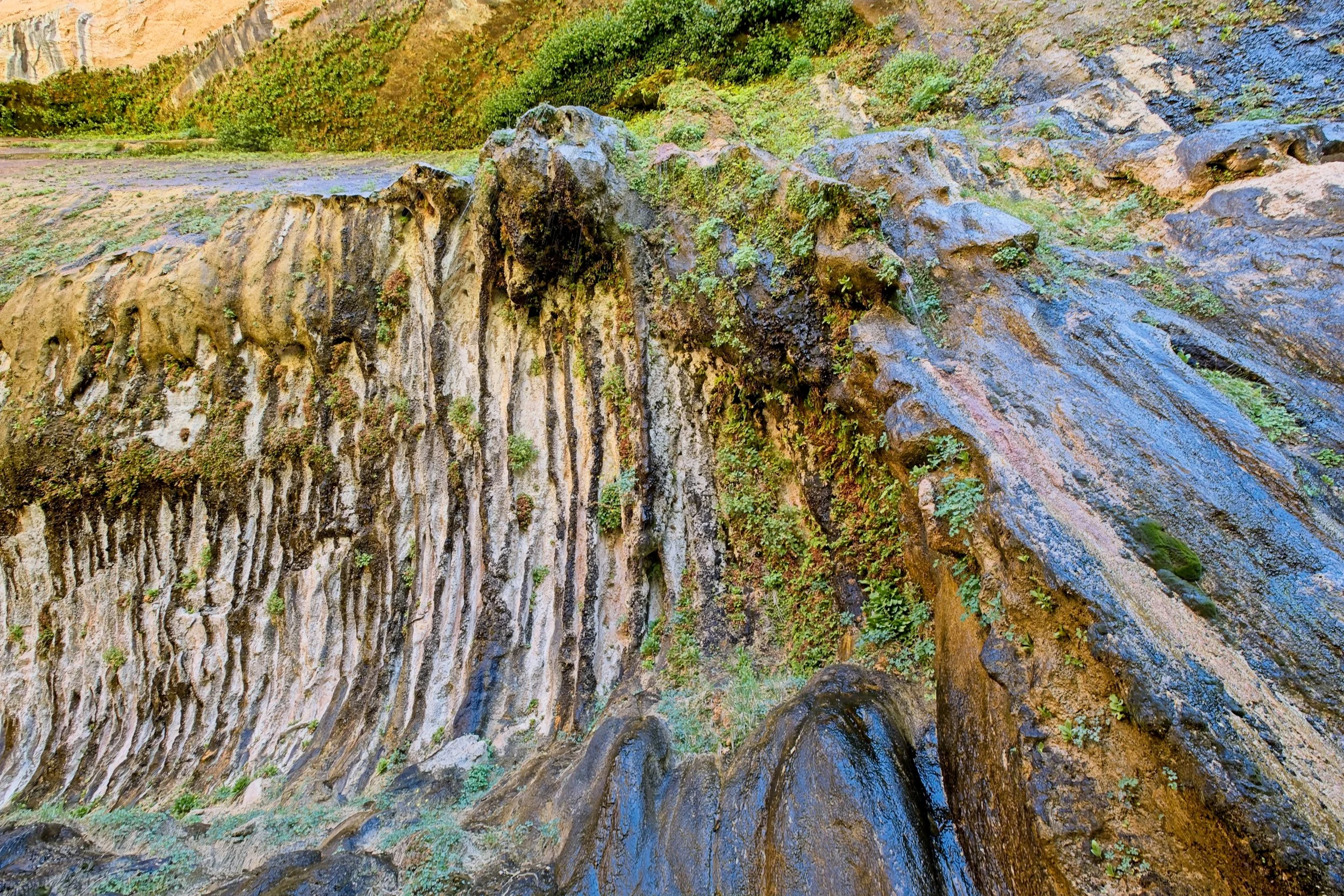 zion 2.jpg