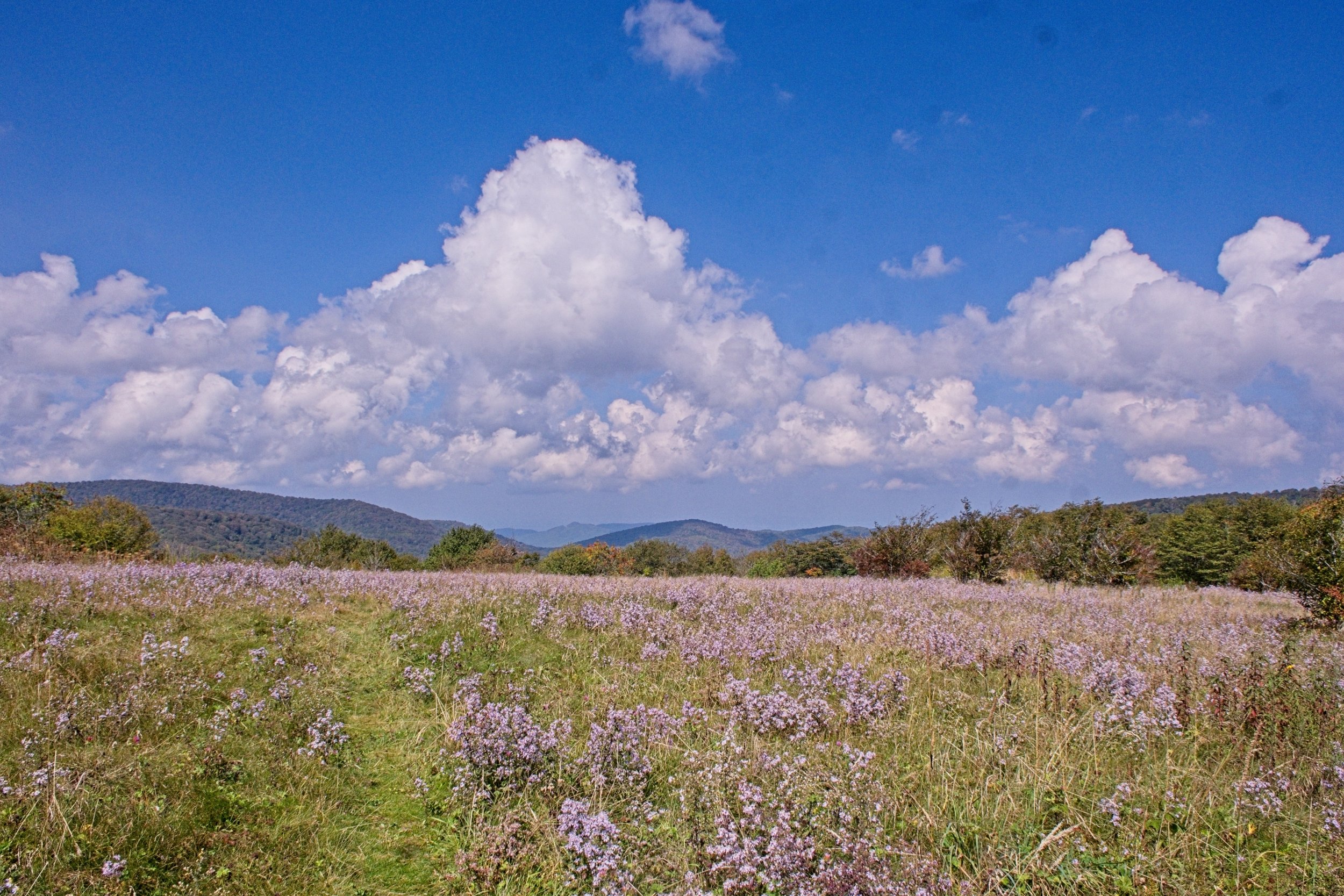 Lovely ccolor mountain 3.jpg