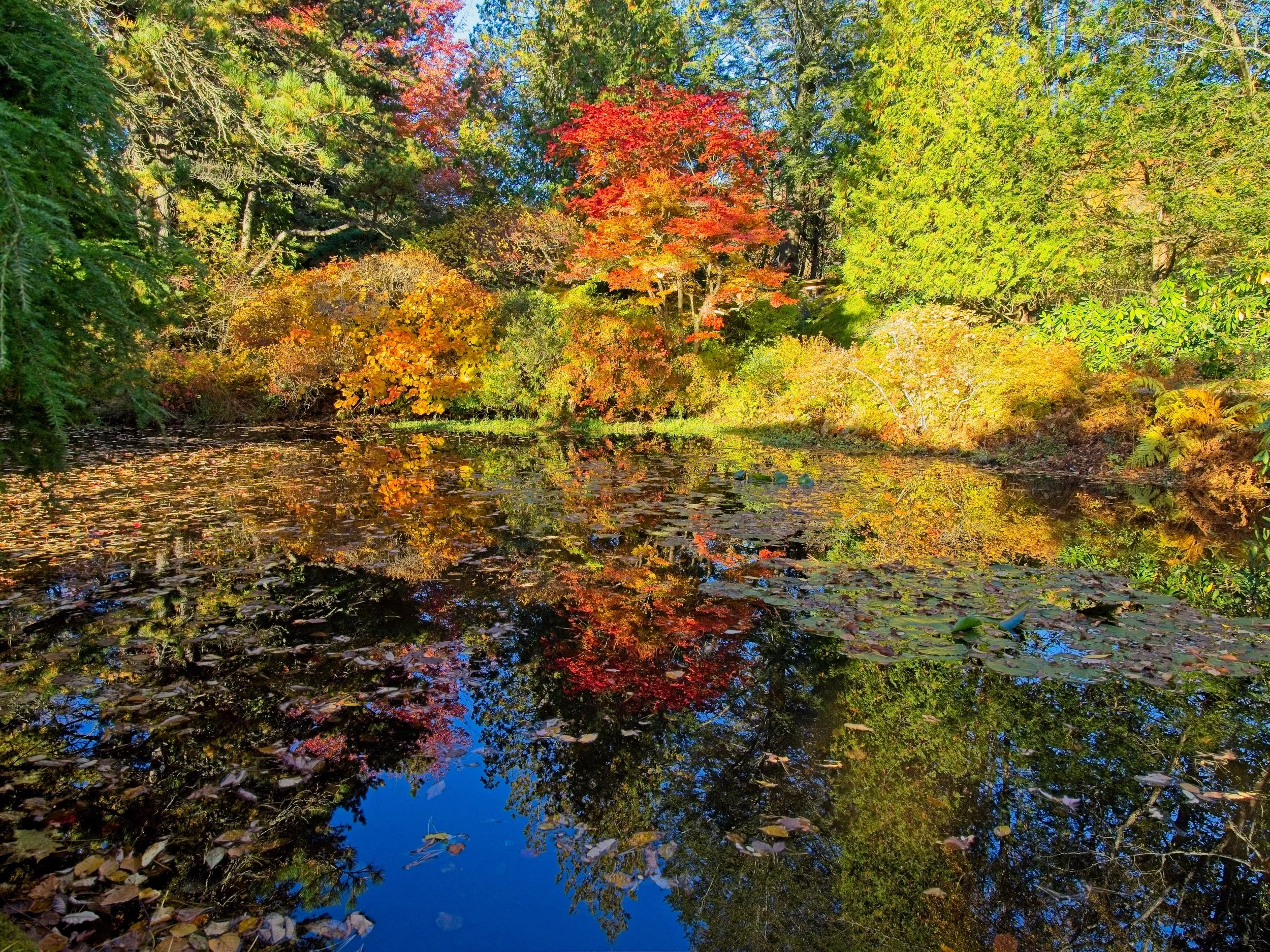 Gardens.jpg