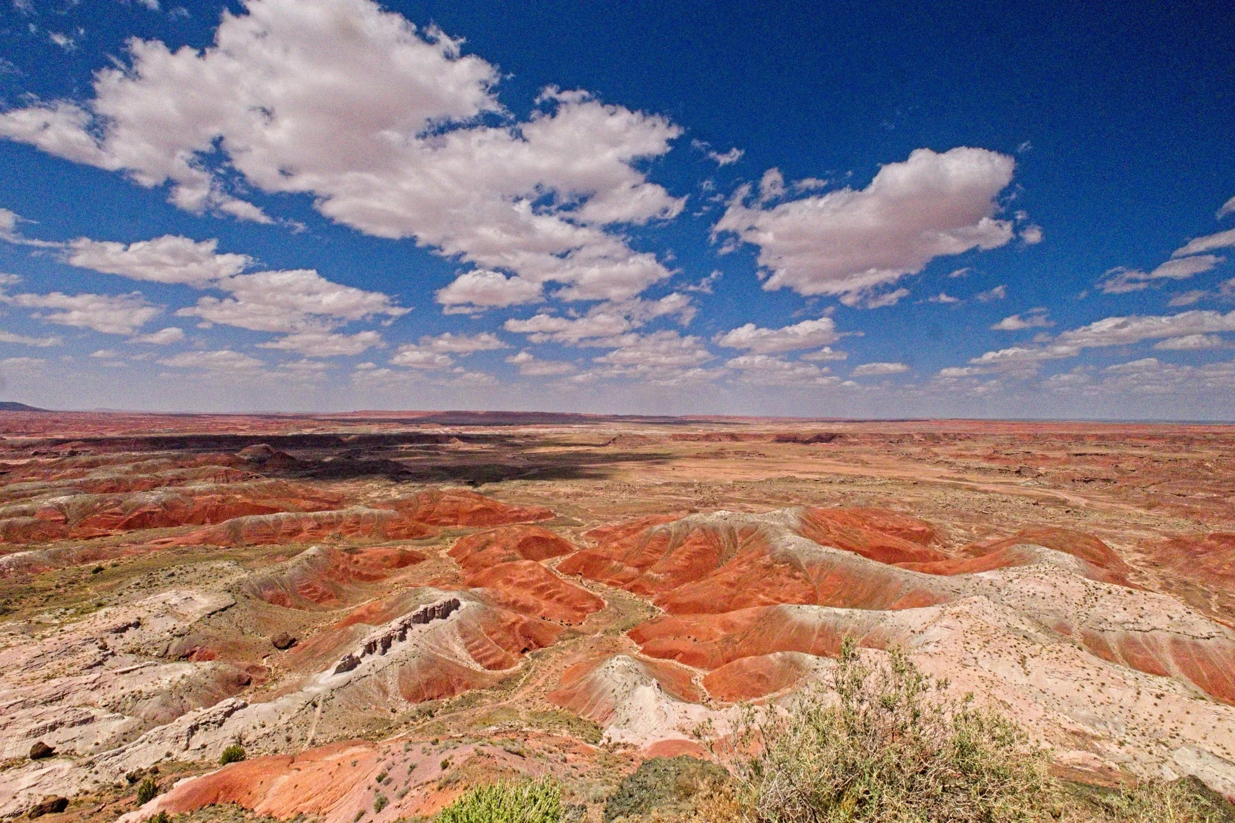 Painted Desert 1.jpg