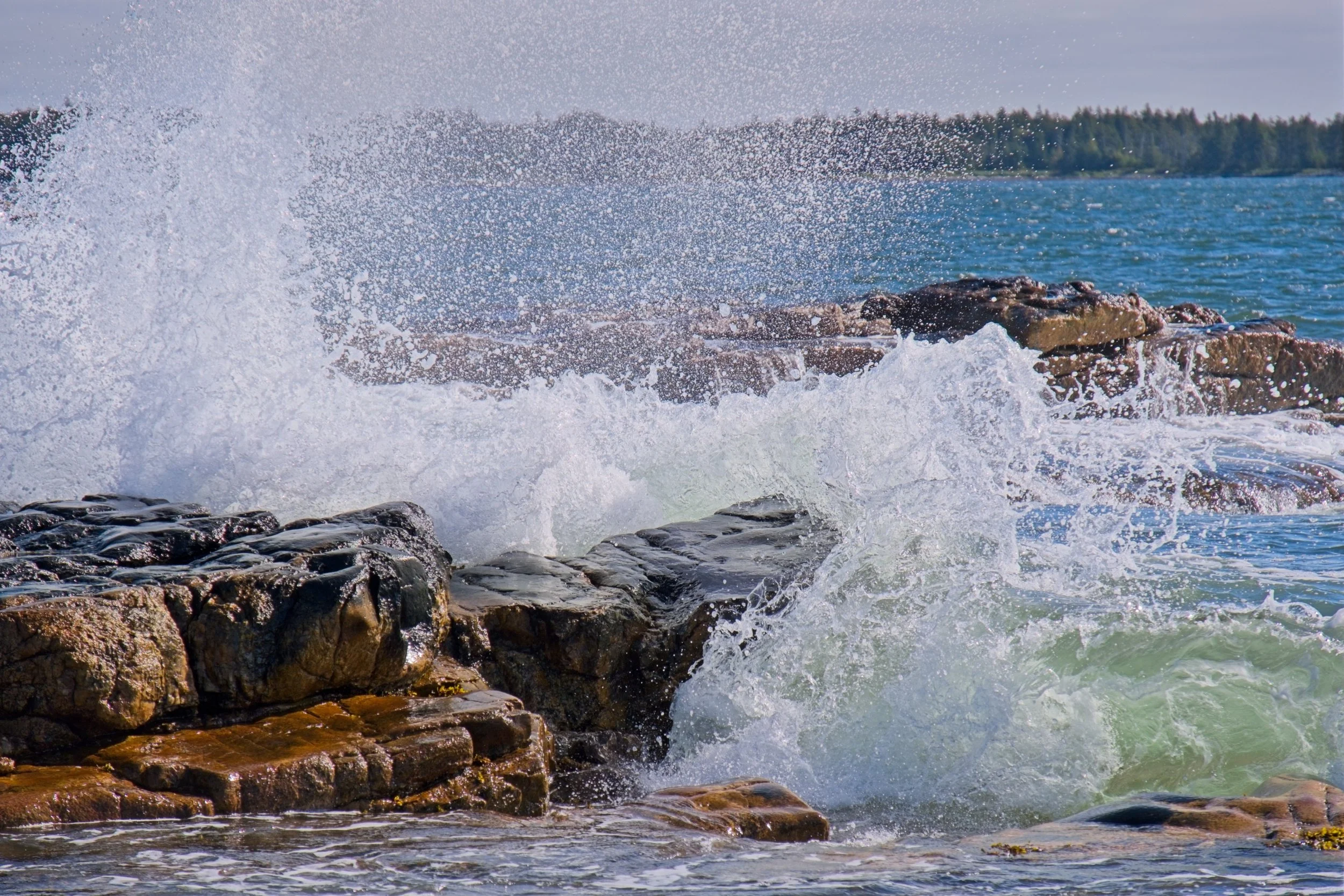 acadia post 5.jpg