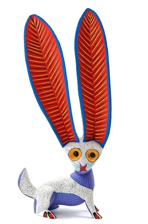 conejo.jpg