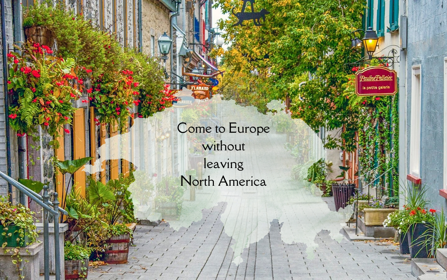 Website banner 1.png