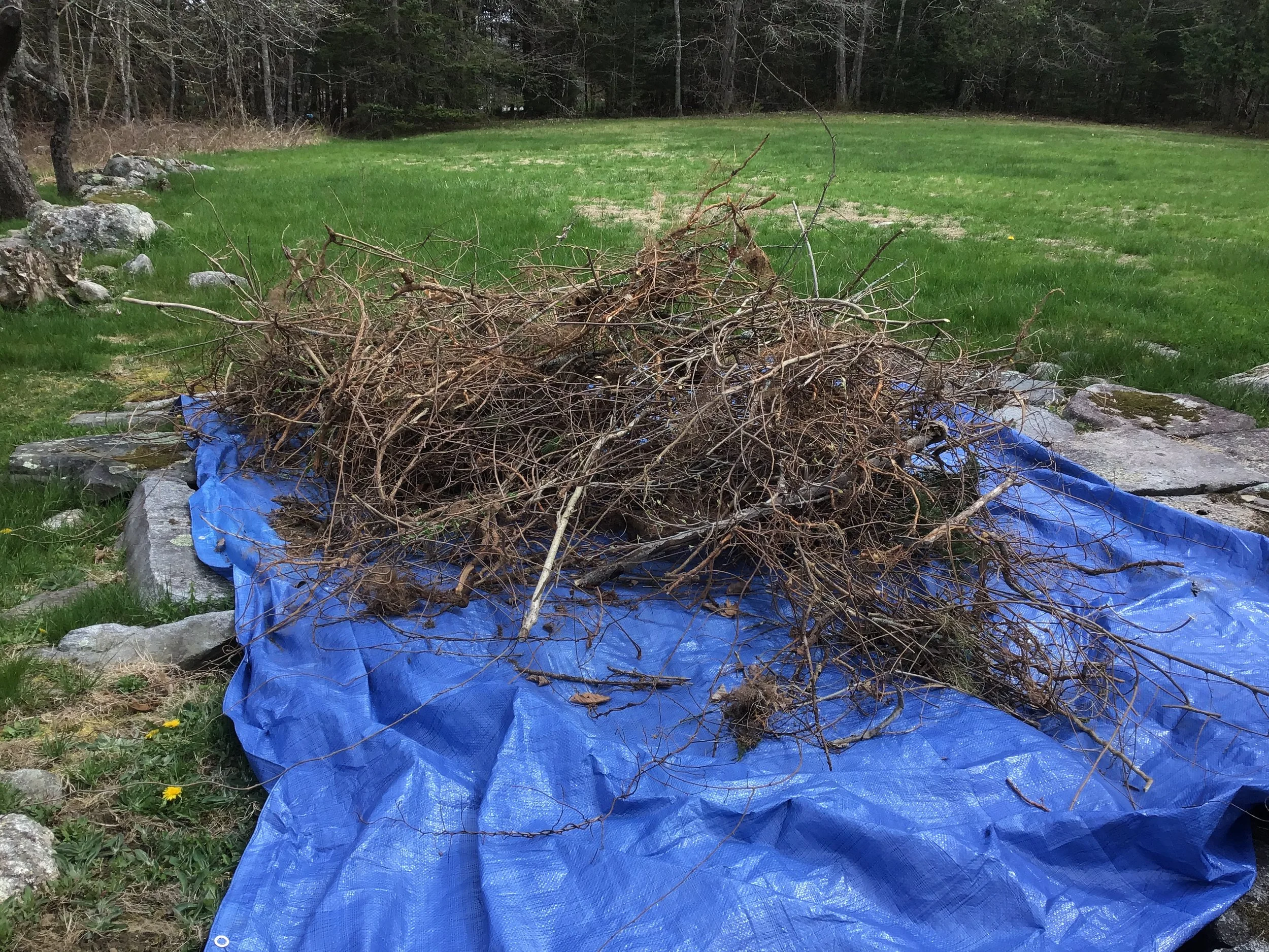 Outdoor Clean-Up Day