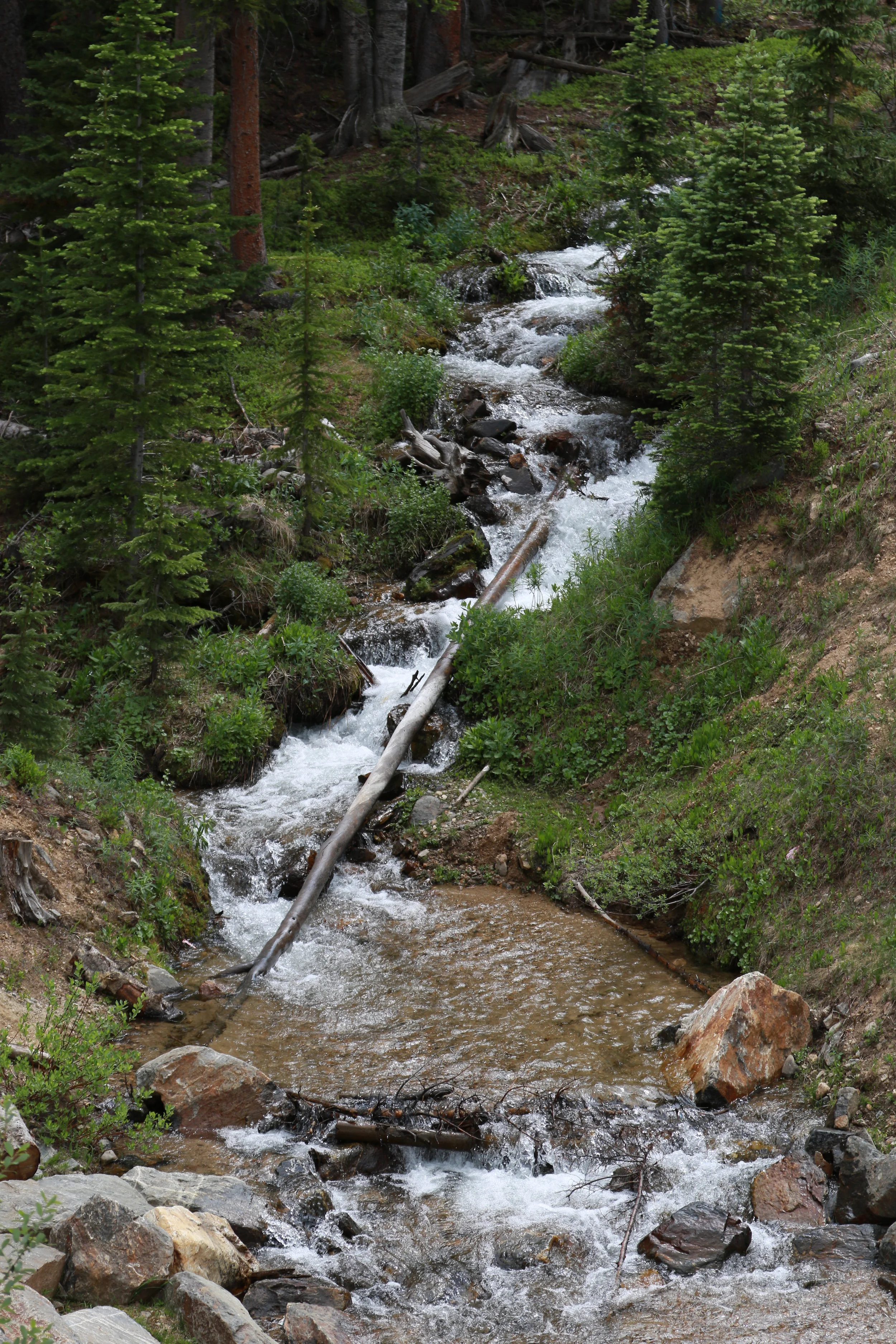 Vacationing in Breckenridge, CO on June 22, 2016.