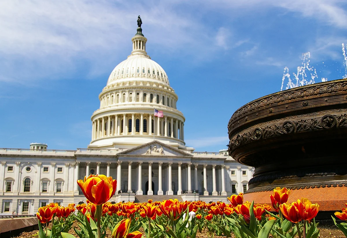 capitalbuilding.jpg