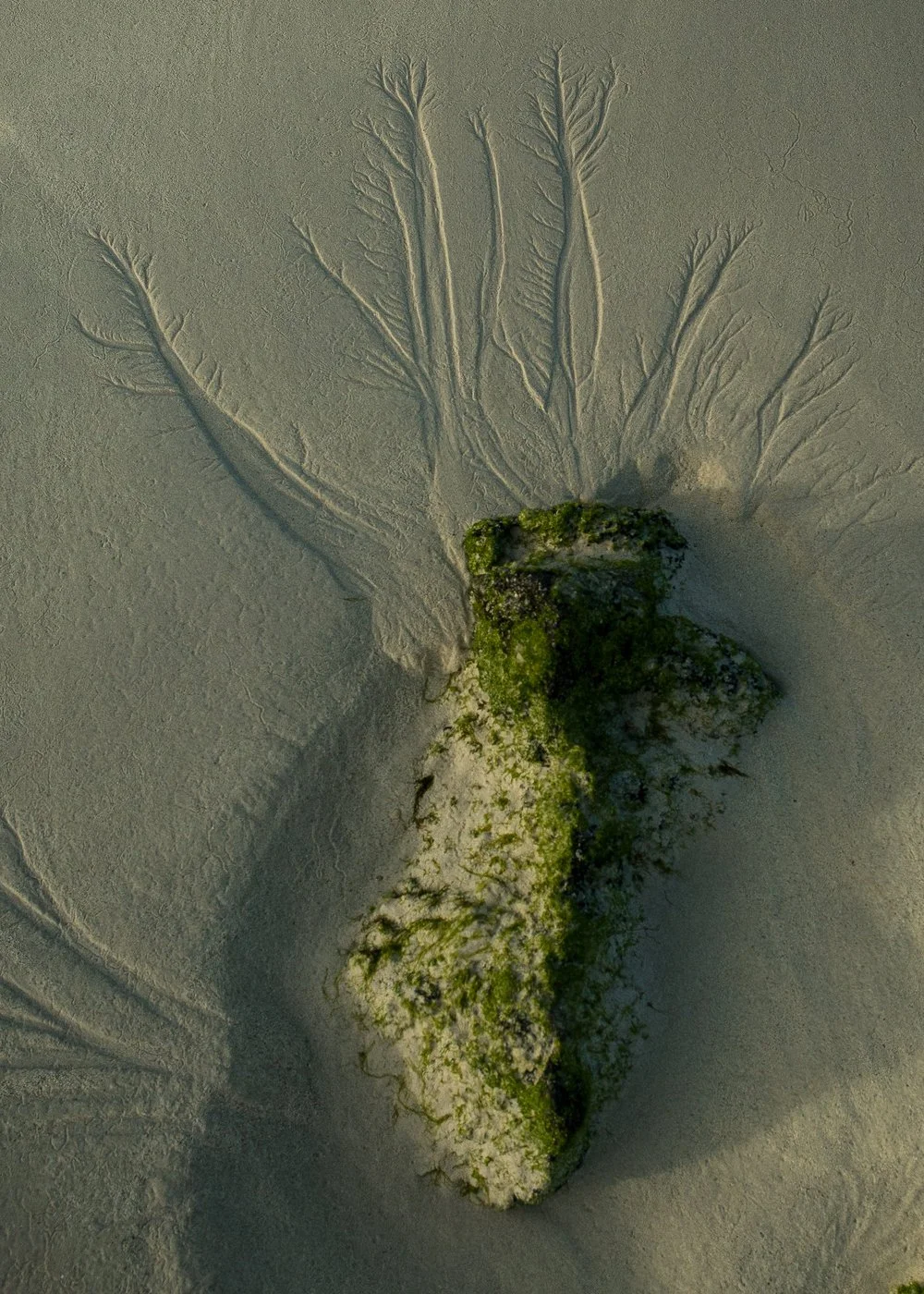 sand+(1+of+1)-2.jpeg