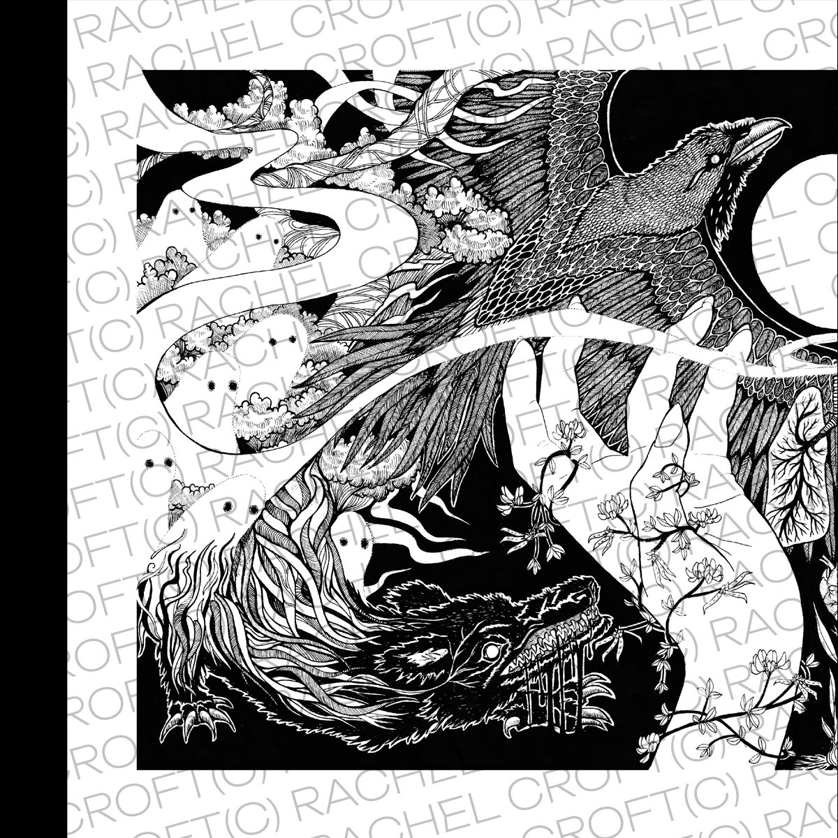 RC-2026-vinyl-print WEBSITE IMAGE 2.jpg