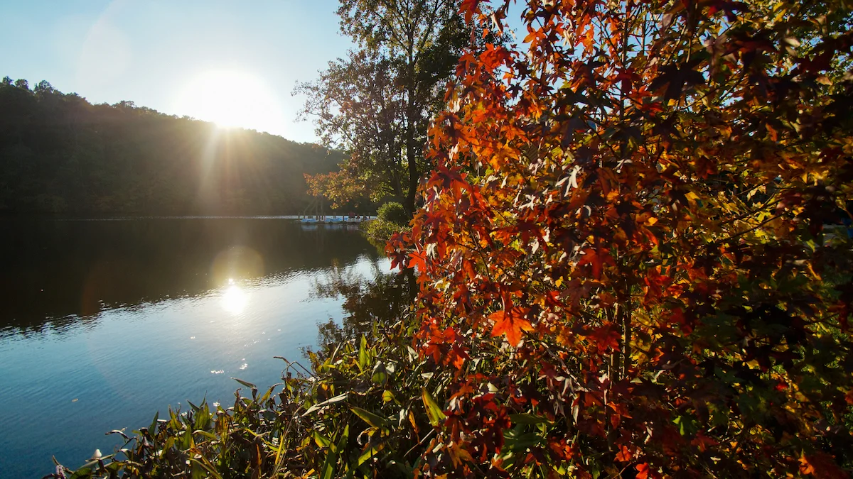 2ndbc_fall (49 of 76).jpg