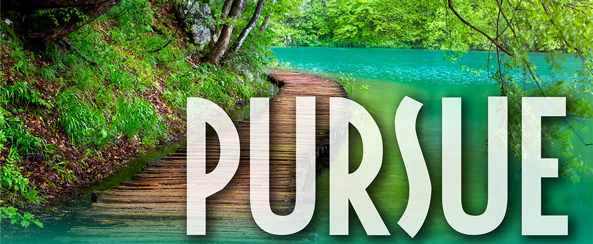 Pursue-WMU.png