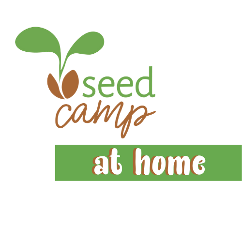 Seed Camp at HOME