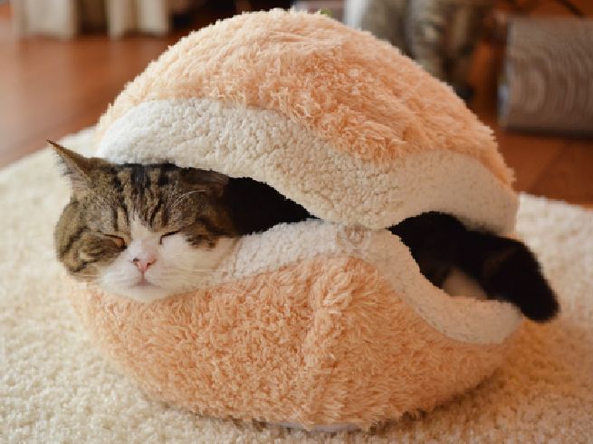 Cat-Burger-Pillow_3.jpg