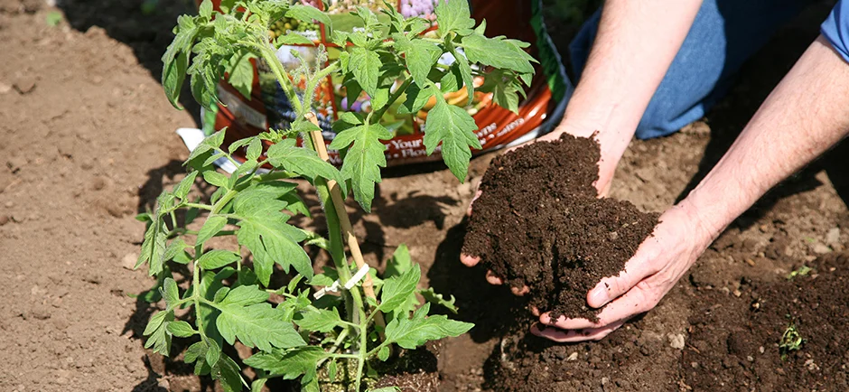 compost3.jpg