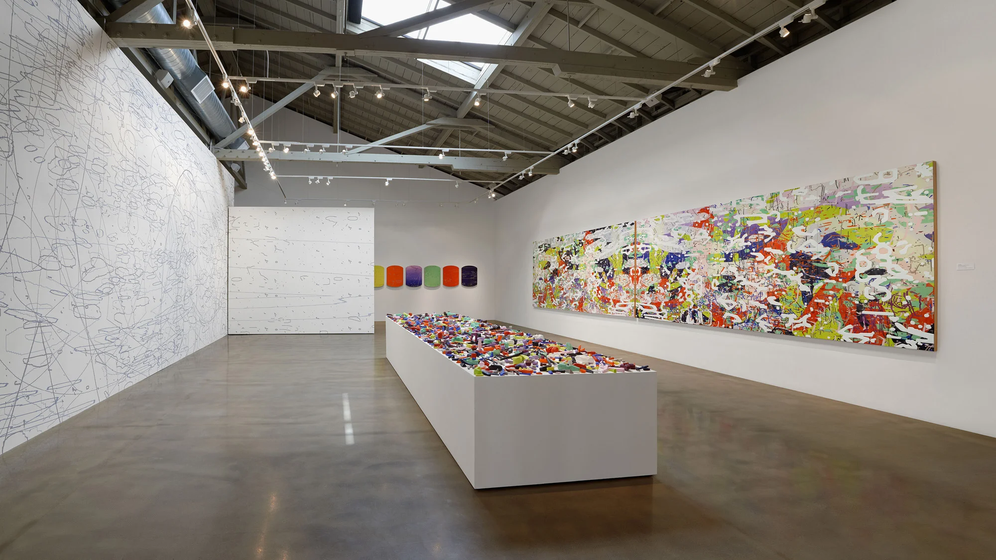 Iterations & Assertions at the San Jose Institute of Contemporary Art, 2014.