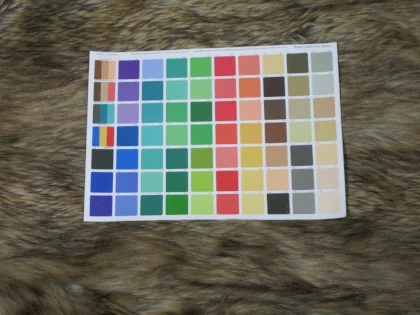 True Spring versus the coat - palette too warm and too bright for the coolness/duskiness in the coat.