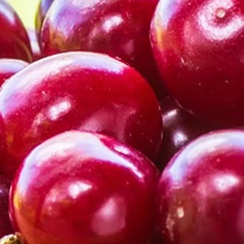 Color Analysis in Traverse City, Michigan
