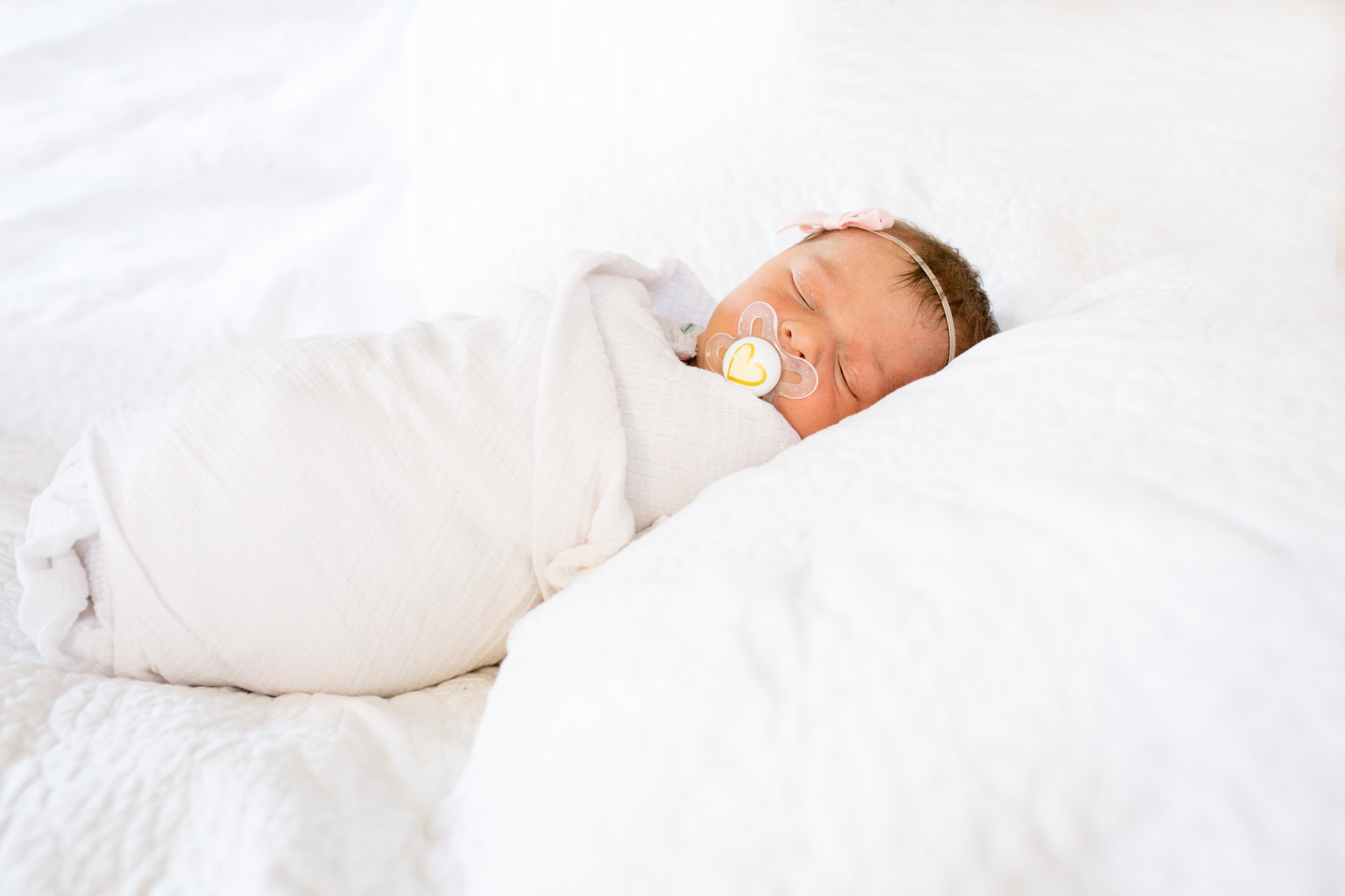 south bend newborn baby photographer