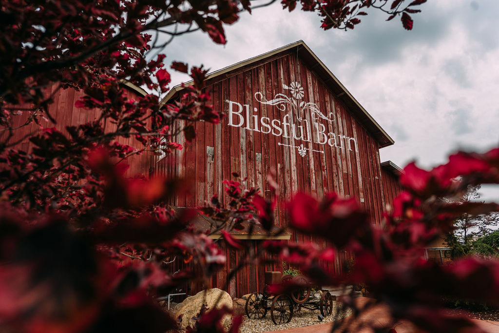 blissful barn michigan wedding photographer