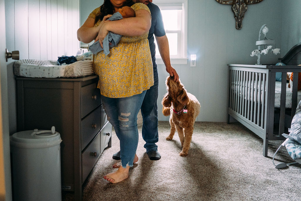 south bend indiana newborn baby lifestyle photographer photography