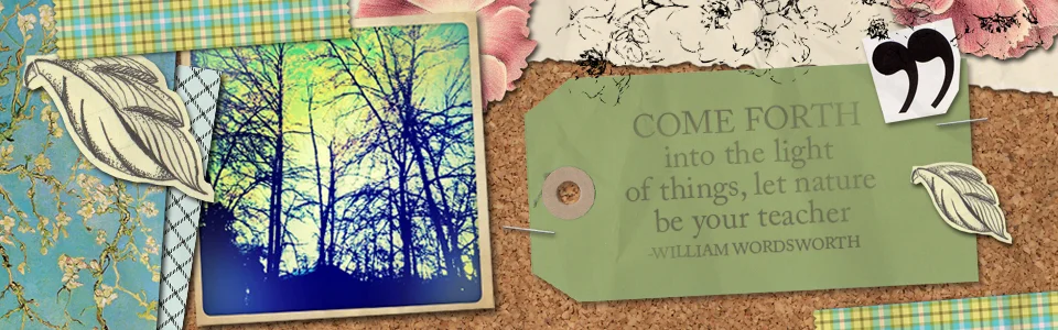 AM_final_nature_72.jpg