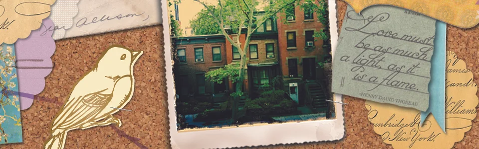 AM_final_neighborhood_72.jpg