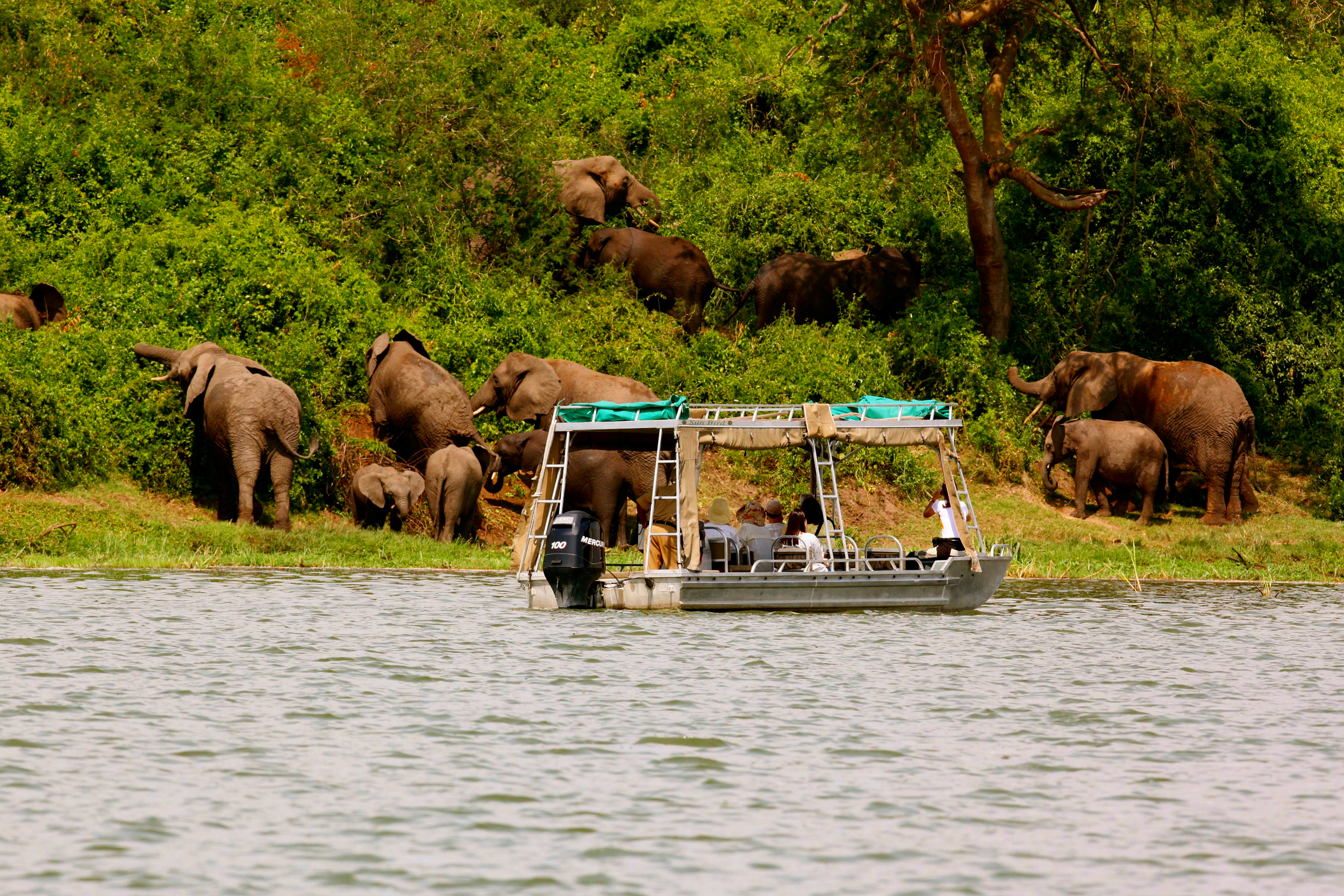 mweya_safari_lodge_water_safari_aboard_the_sunbird-hi.jpg