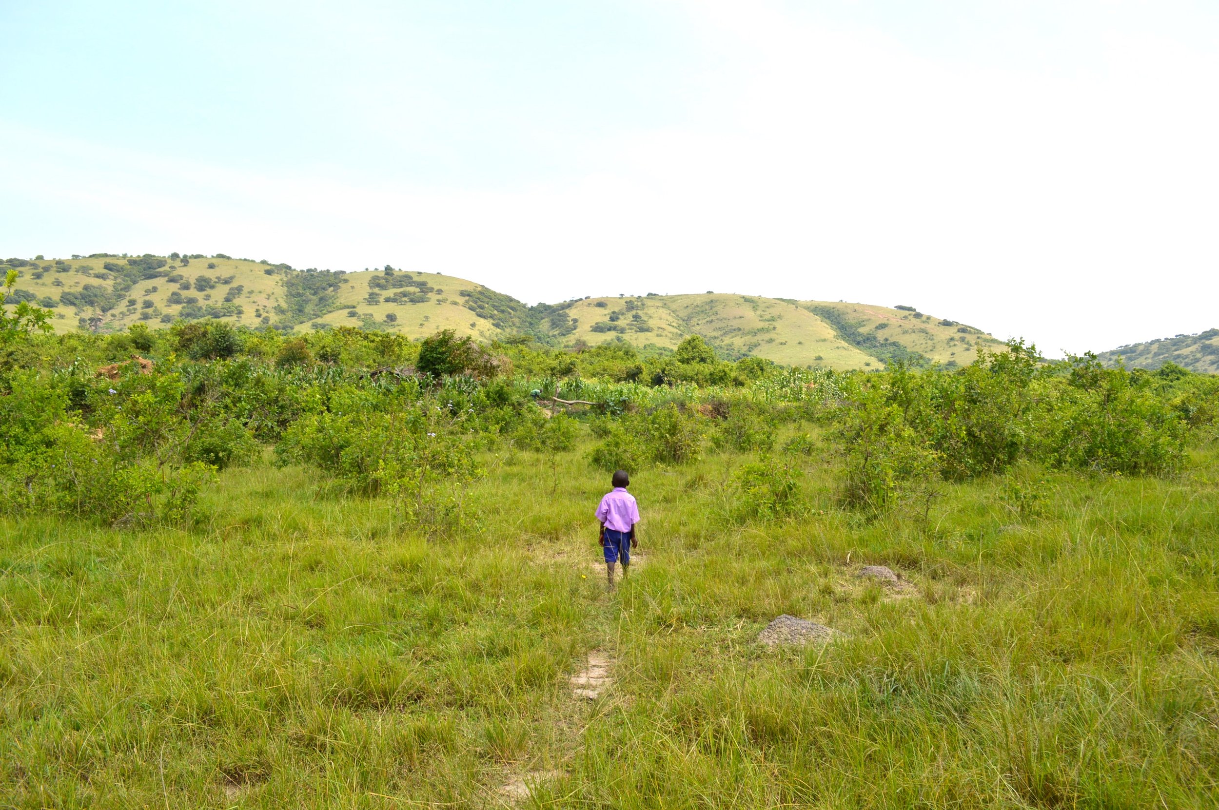 DSC_0277 - Version 2.JPG