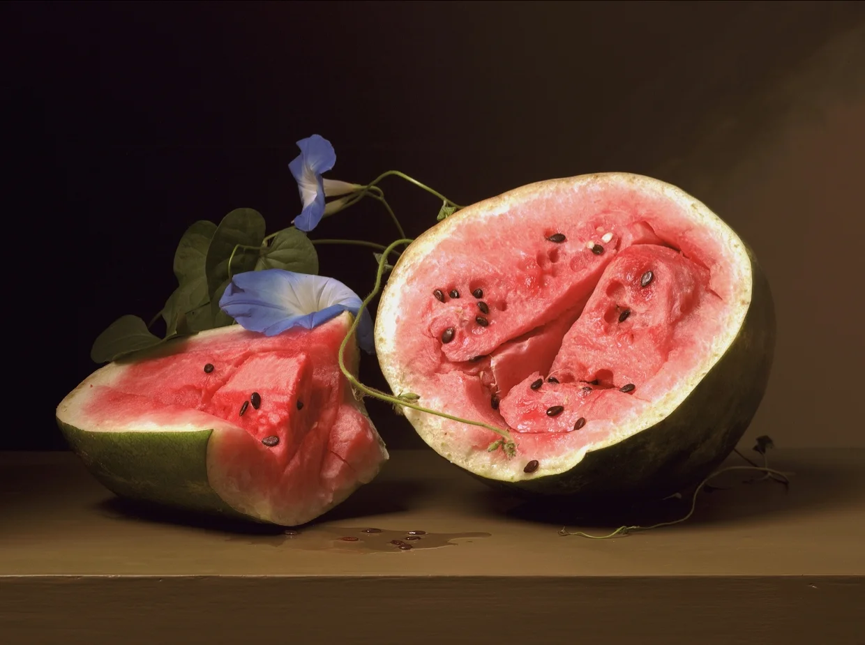   Melons and Morning Glories ,&nbsp;2008, 20.5 &nbsp;x 27.5 inches, C-print &nbsp; 