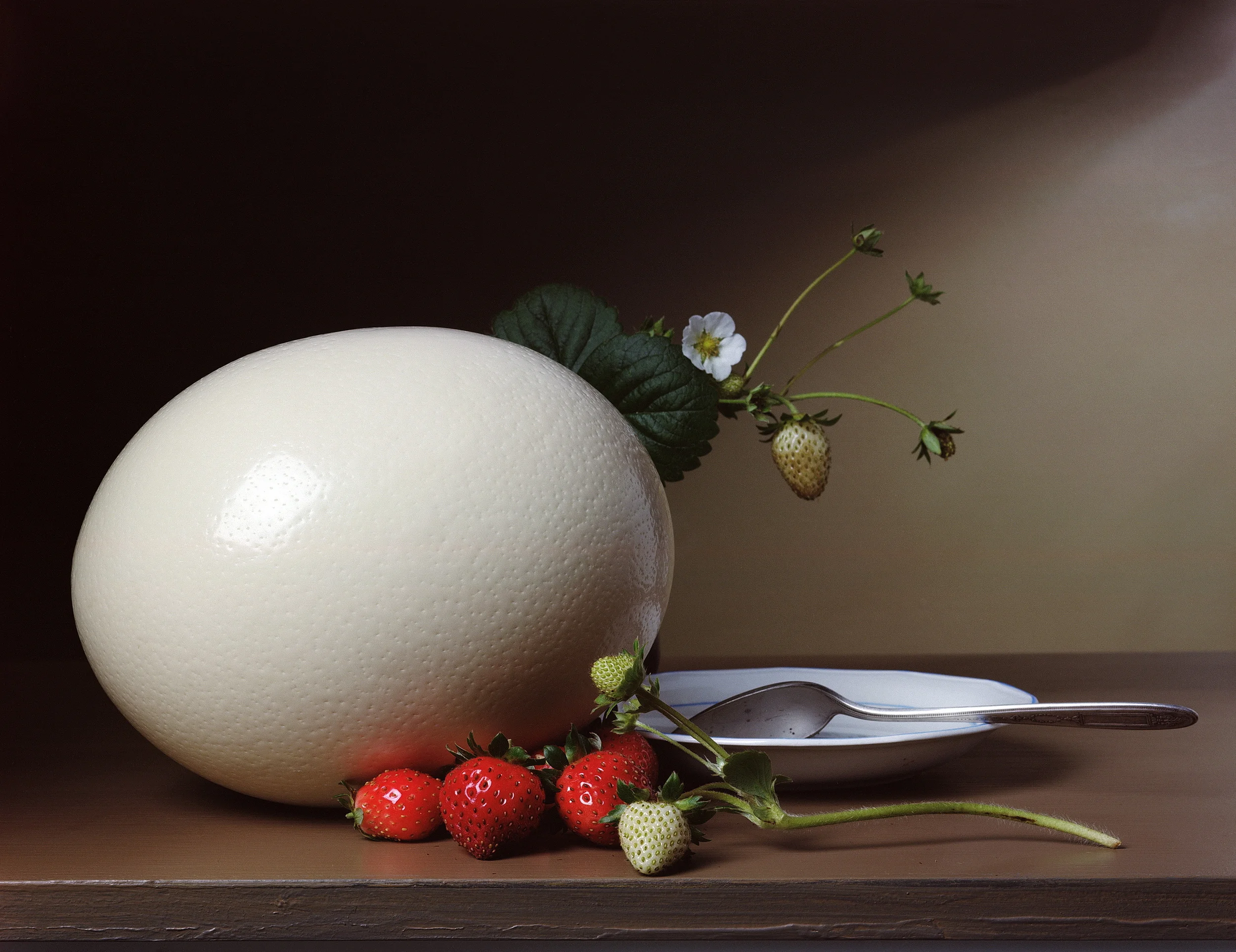   Strawberries and Ostrich Egg ,&nbsp;2007, 17 x 23 inches, C-print 