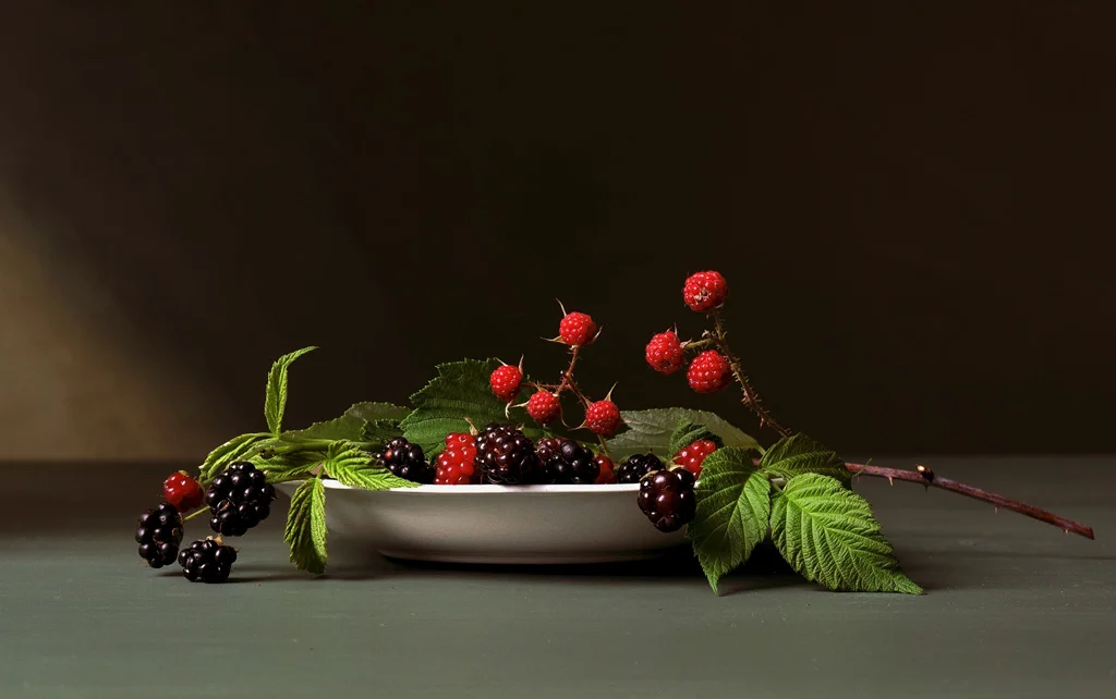   Blackberries ,&nbsp;2008, 12 x 17.75 inches, C-print&nbsp; 