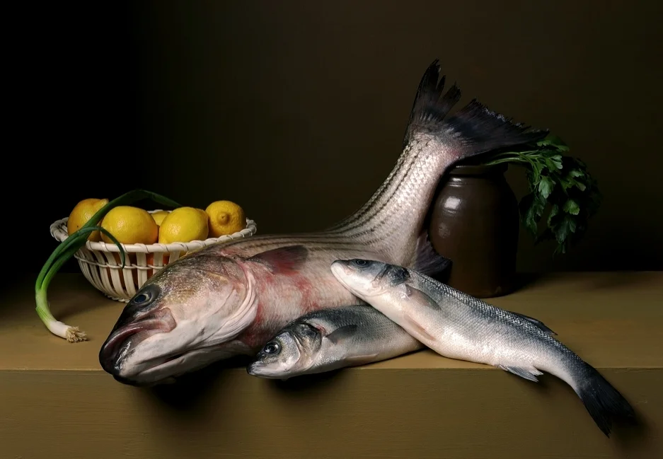   Still Life with Striped Bass ,&nbsp;2008, 28 x 39 inches, C-print&nbsp; 