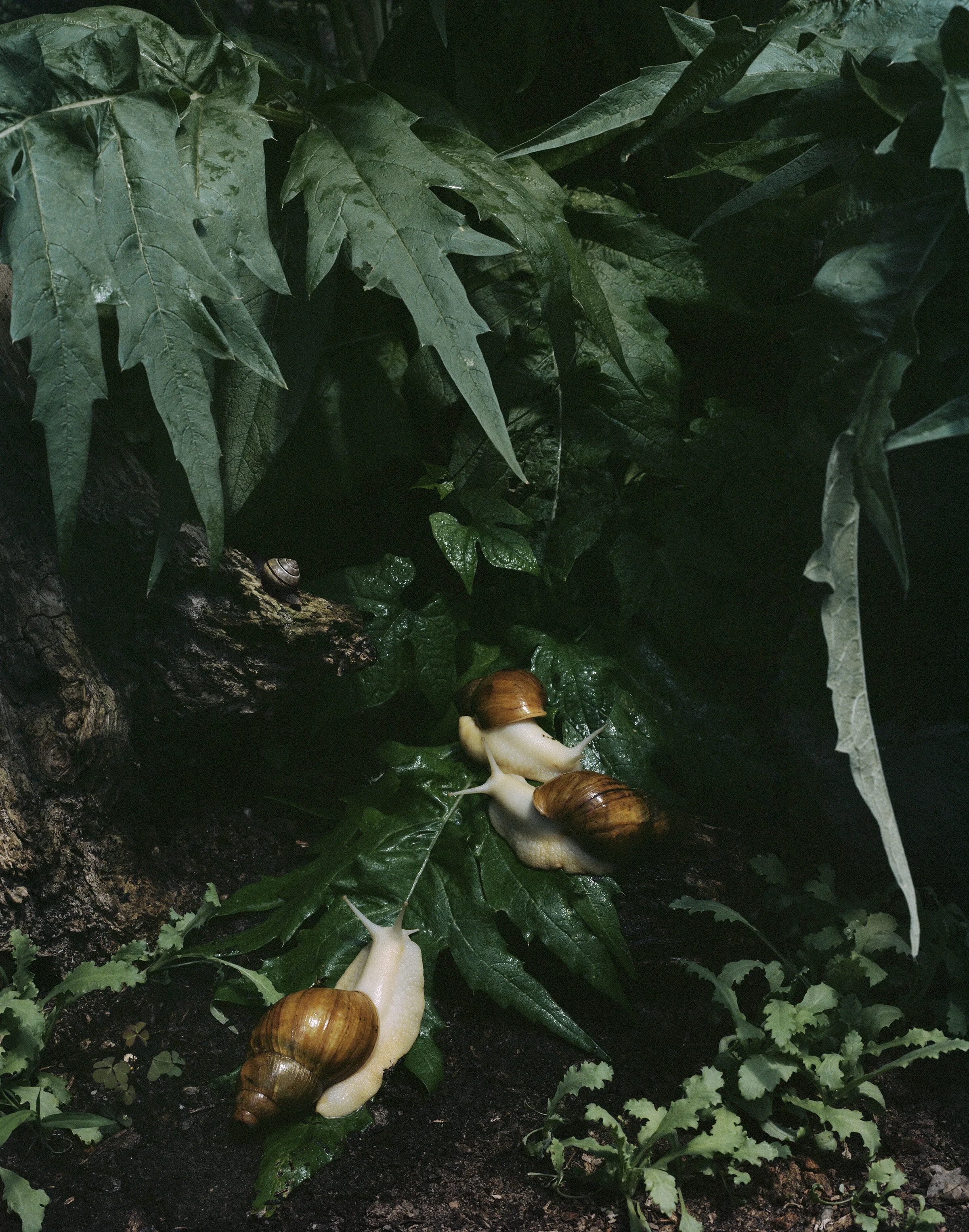   Untitled #7 ,&nbsp;2015, 18 x 14 inches,&nbsp;Archival pigment print&nbsp; 
