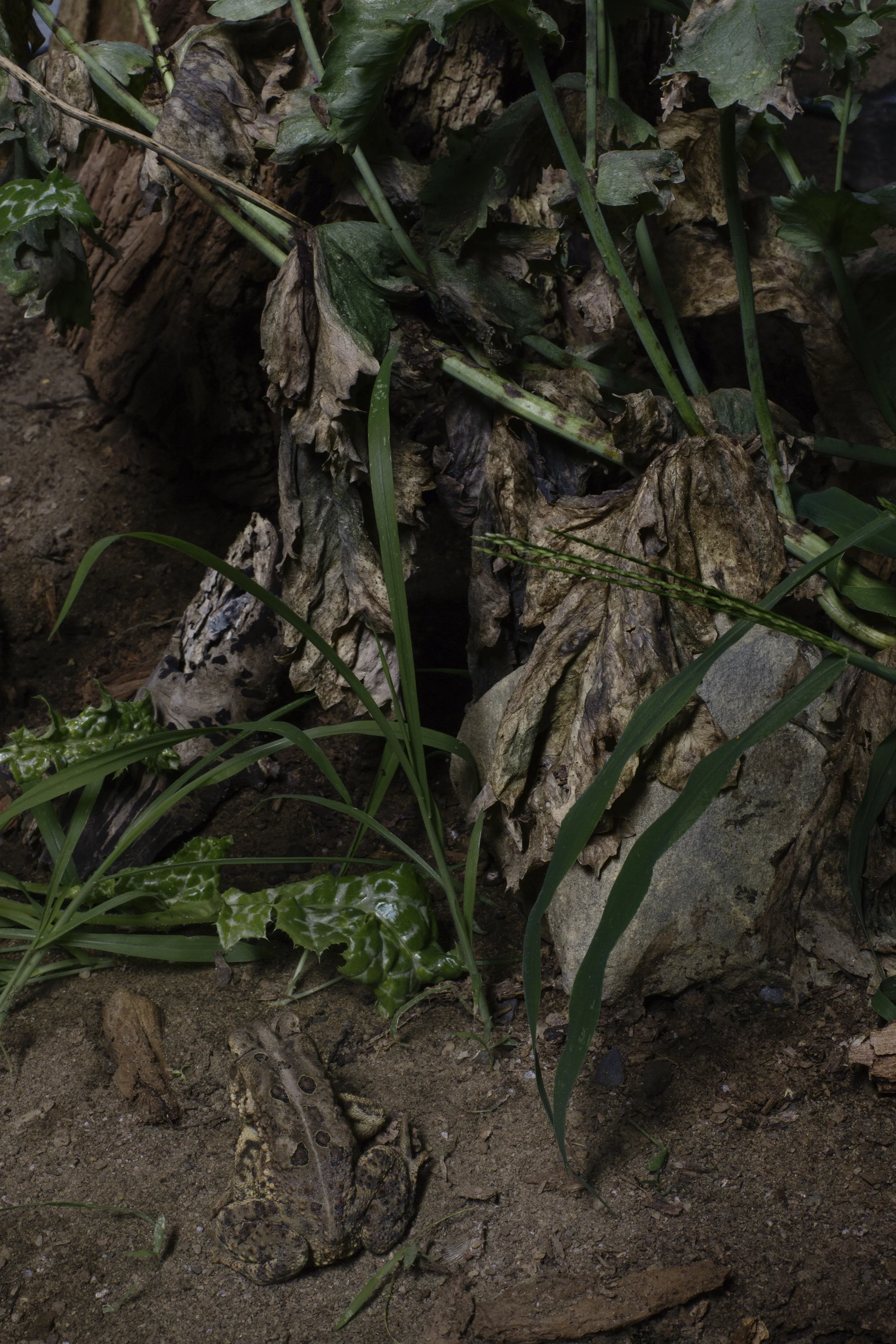   Untitled #10 ,&nbsp;2015, 18 x 12 inches,&nbsp;Archival pigment print&nbsp; 