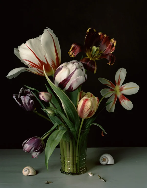   1610 ,&nbsp;2011, 19 x 14.75 inches, Archival pigment print&nbsp; 