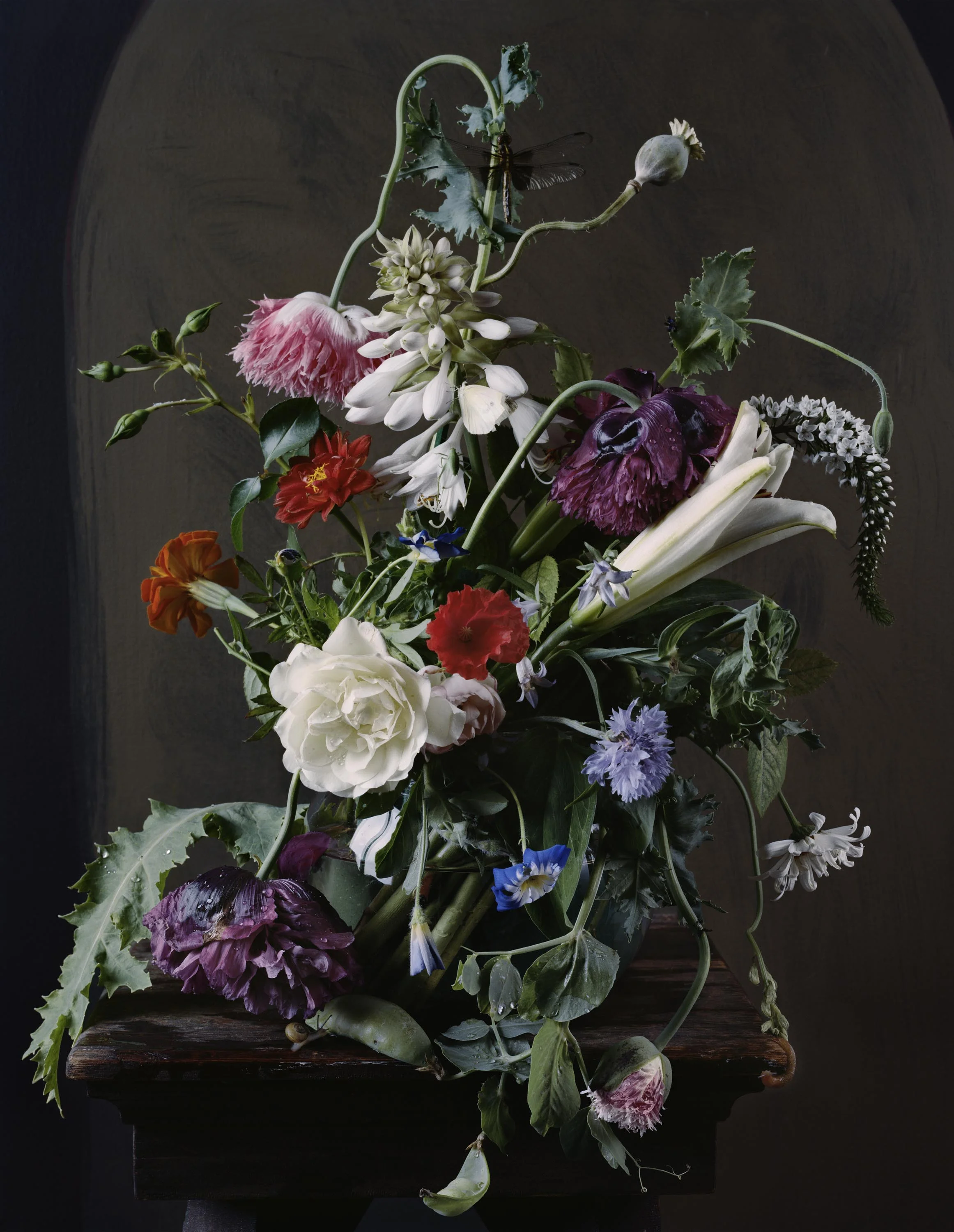   1720 ,&nbsp;2012, 29.25 x 23 inches, Archival pigment print&nbsp; 