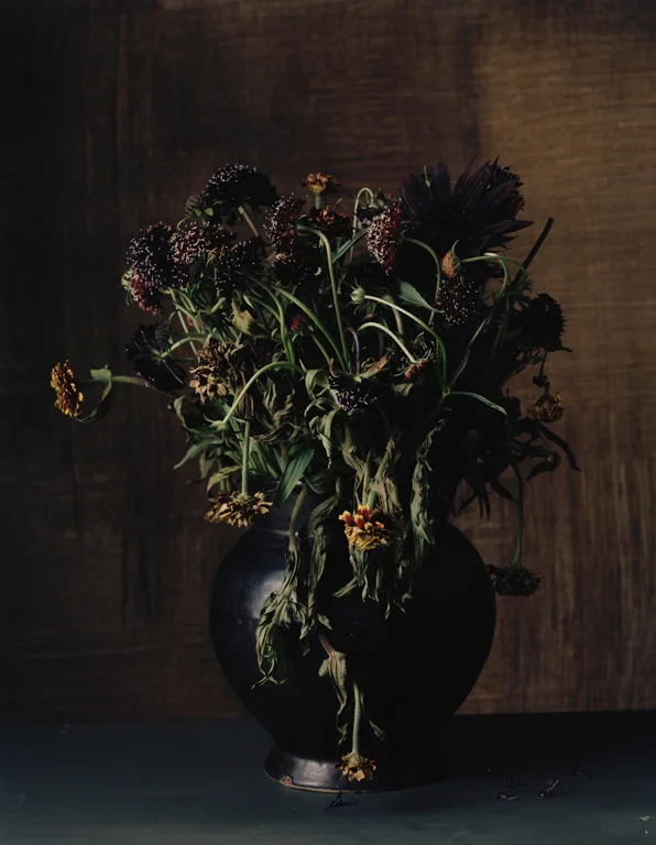   1885 , 2011, 22.25 x 18.25 inches,&nbsp;Archival pigment print&nbsp; 