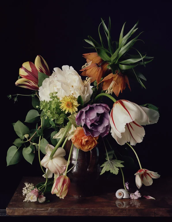   1782 , 2011, 22 x 17.75 inches, Archival pigment print&nbsp; 