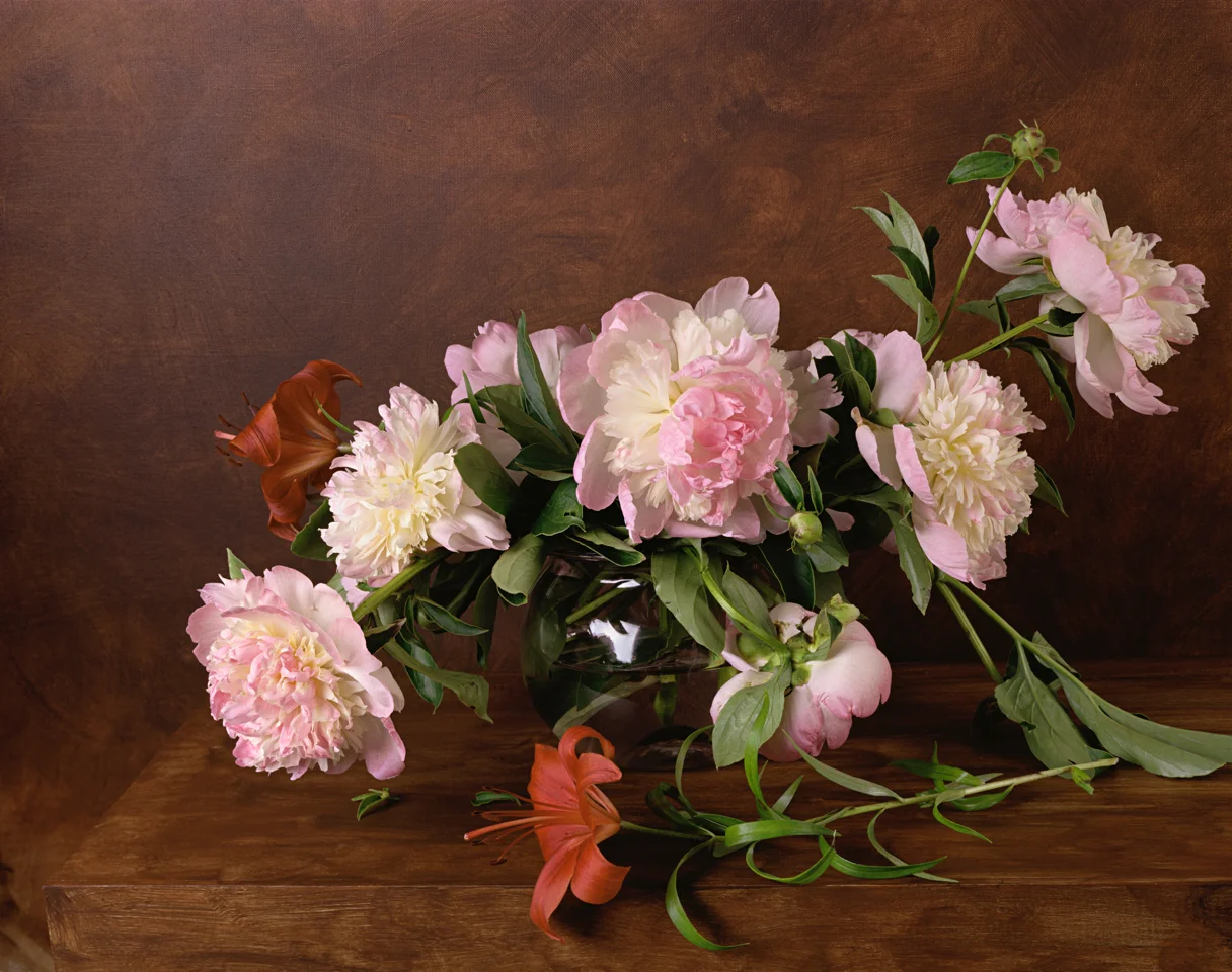   1879 ,&nbsp;2011, 18 x 22 inches, Archival pigment print&nbsp; 