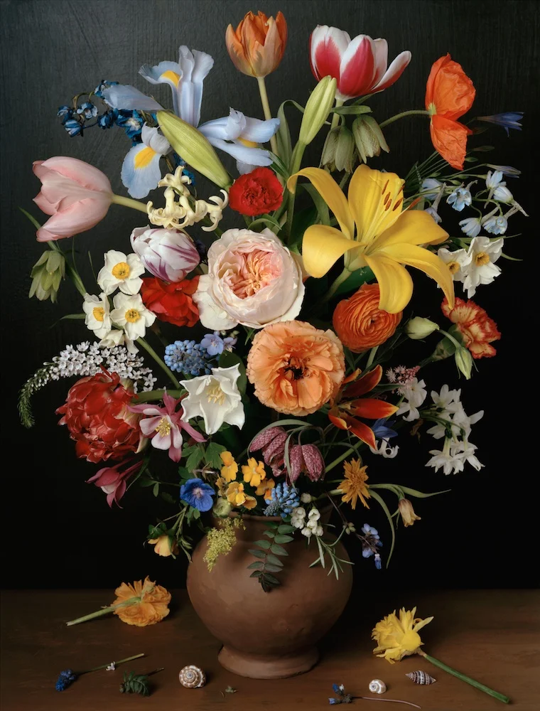 Sharon Core, 1606 , 2011, 26 x 19.75 inches, Archival pigment print