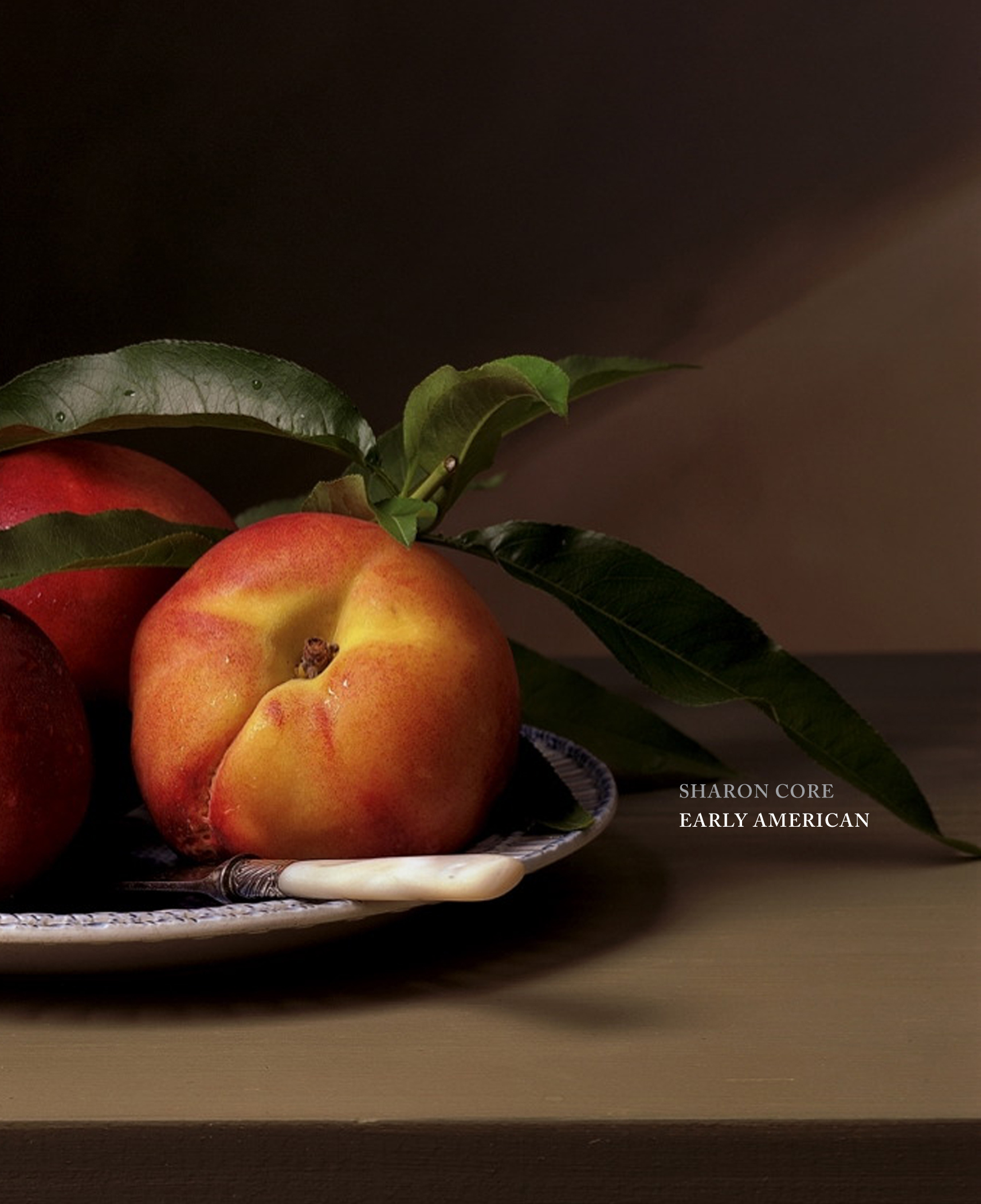 Sharon-Core-DAP-2012-COVER.jpg