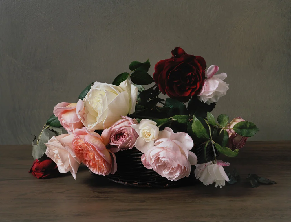 1890, © Sharon Core, 2010