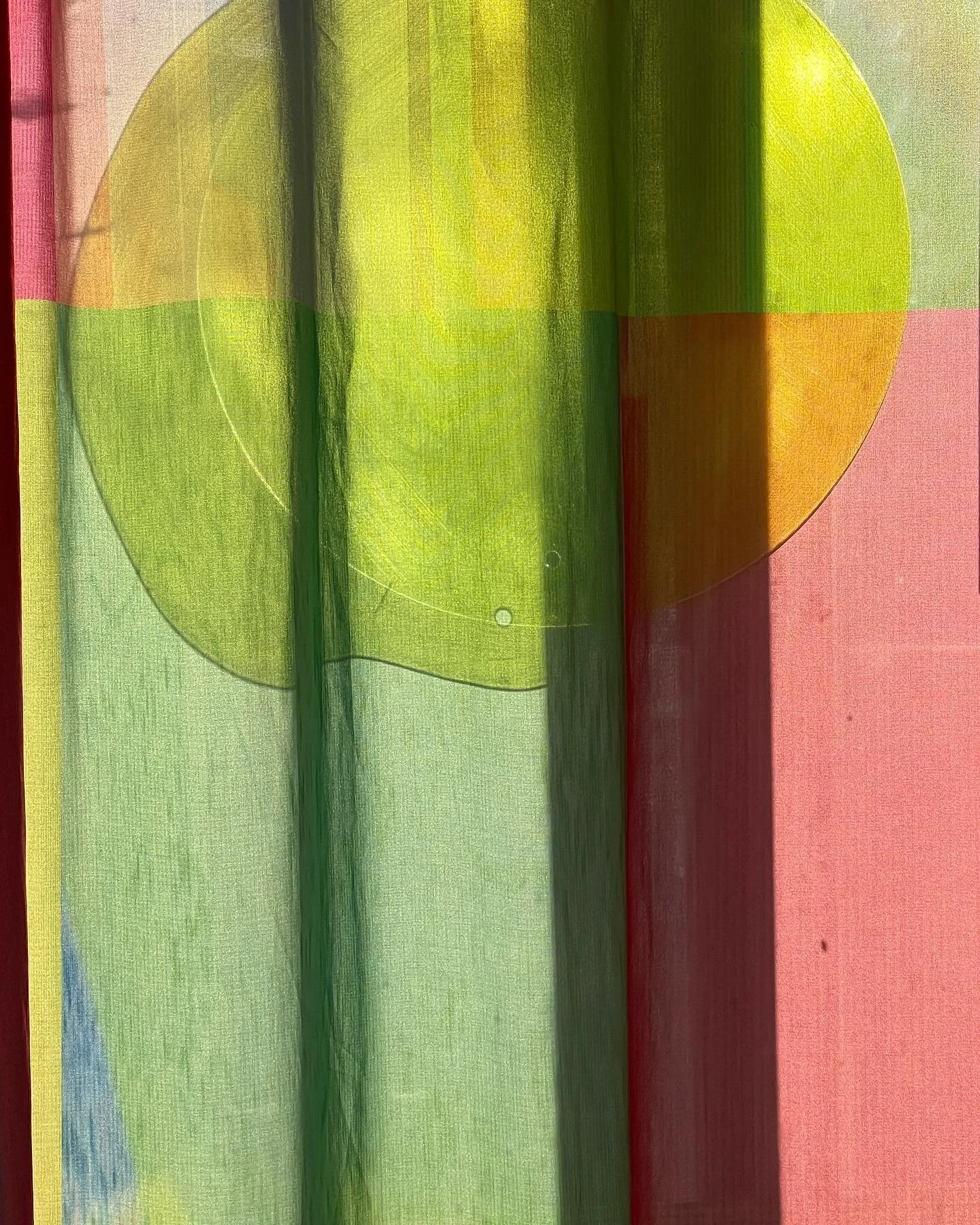 #distorted #reality #insights