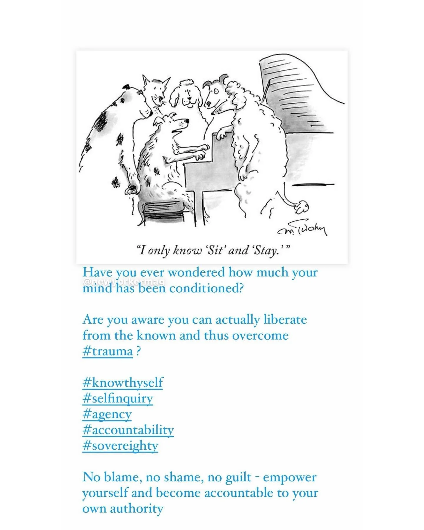 Have you ever wondered how much your #mind has been #conditioned ?

Are you aware you can actually liberate from the known and thus overcome #trauma ?

#knowthyself
#selfinquiry 
#agency
#accountability 
#sovereighty 

No #blame no #shame no #guilt -