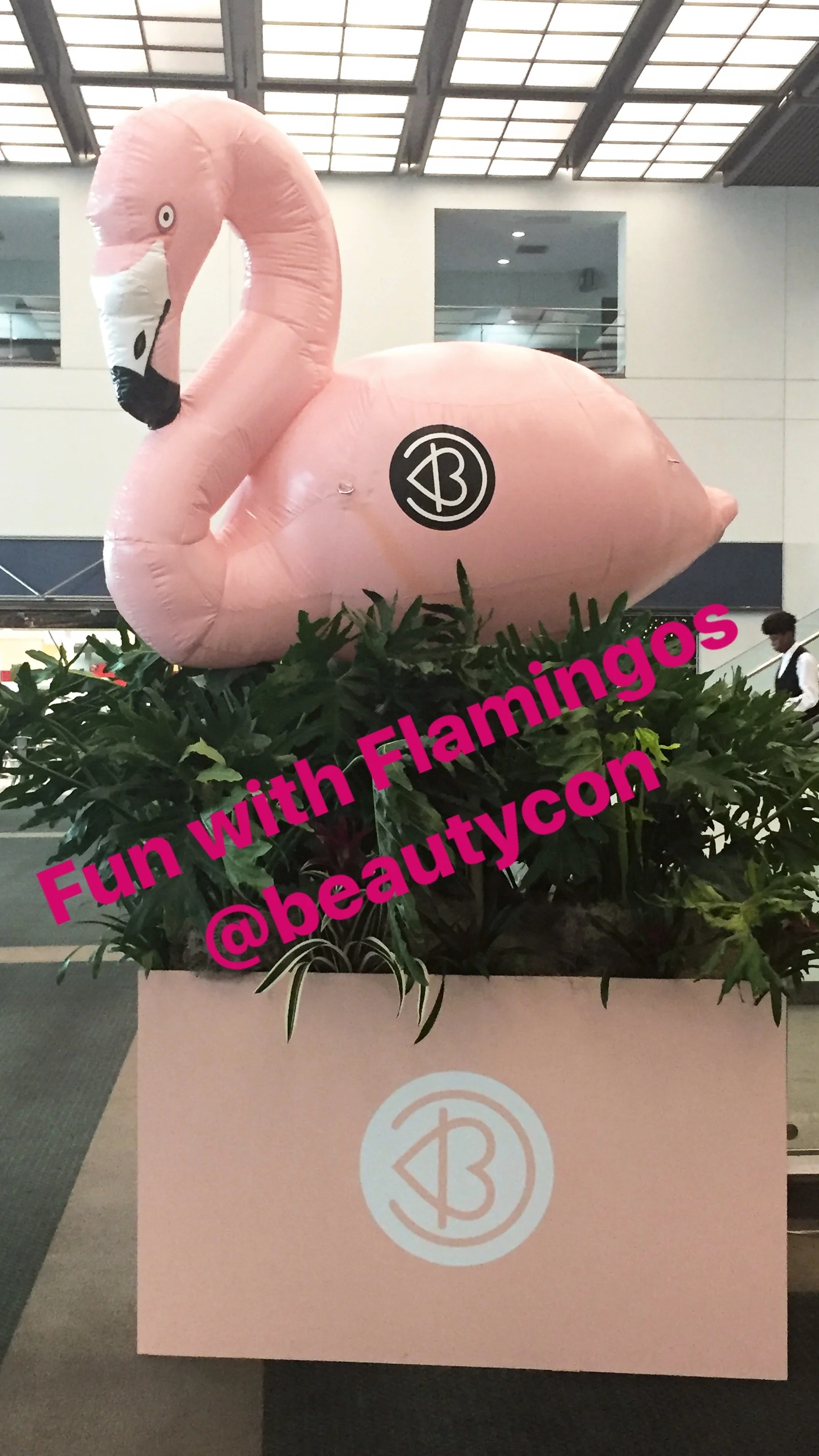 Beautycon 2017 Recap Part II: More More More