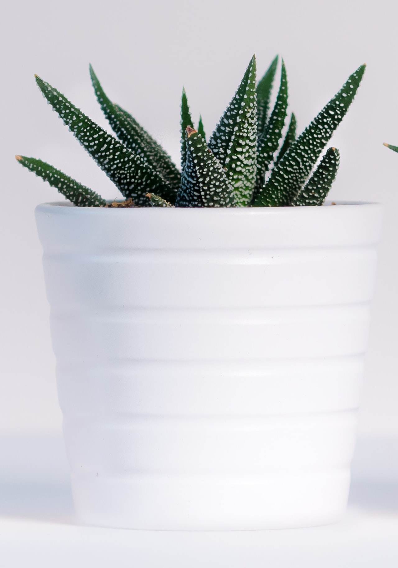 It’s World Environment Day—So Let’s Talk Eco-Friendly Beauty