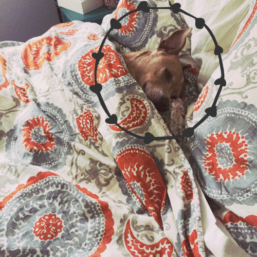 Lazy Sundays for all!